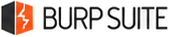 Burp Suite